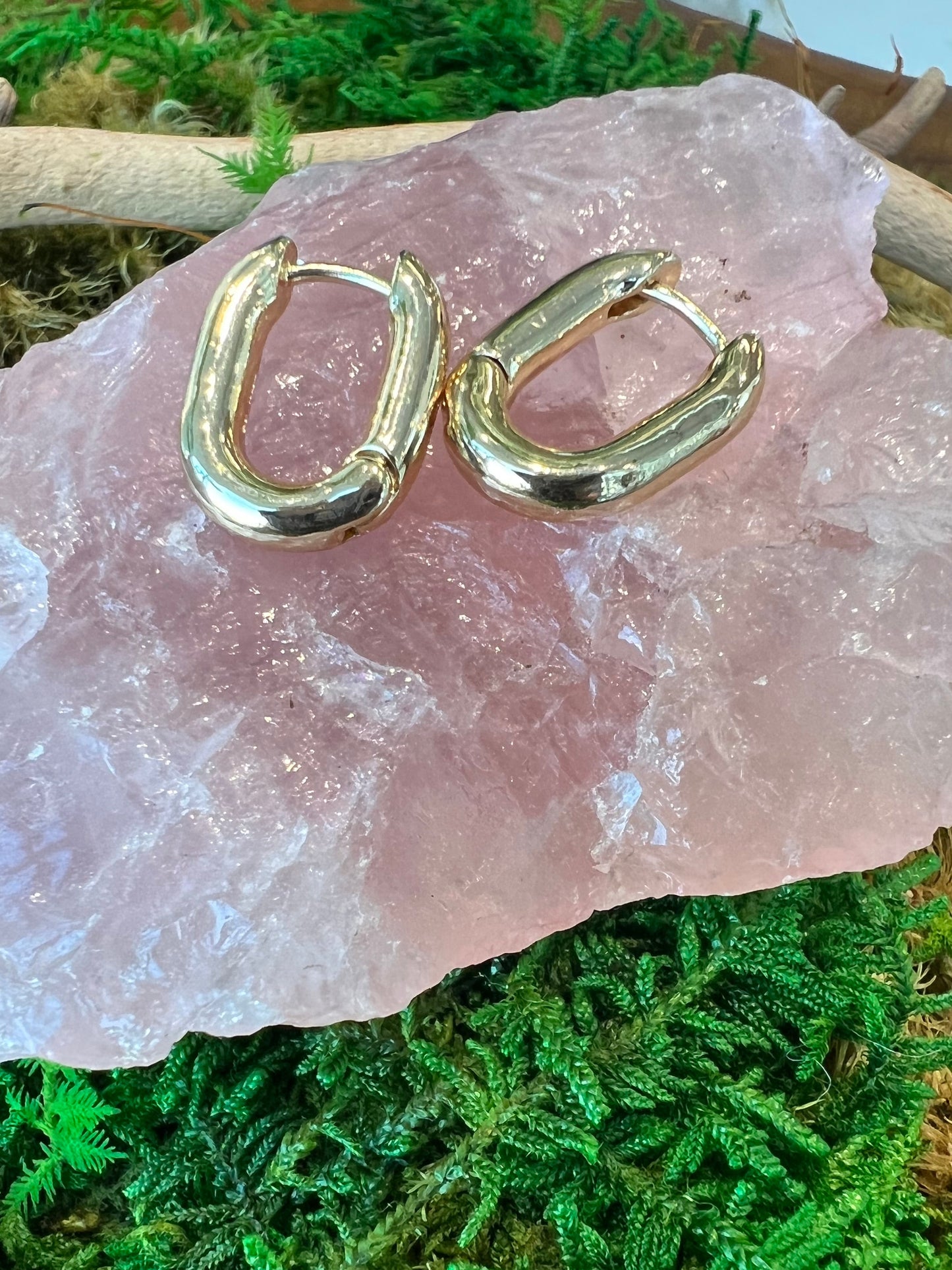 Oval Hoop Earrings